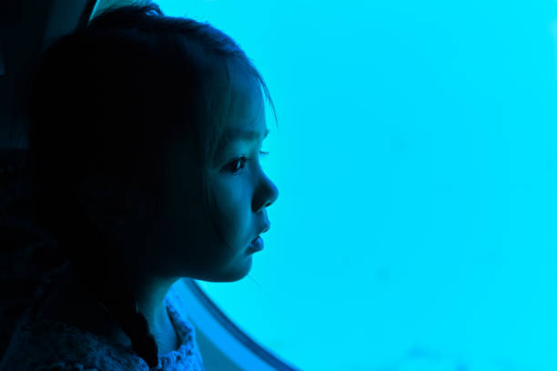 istock Little girl looking through window in submarine 868799362