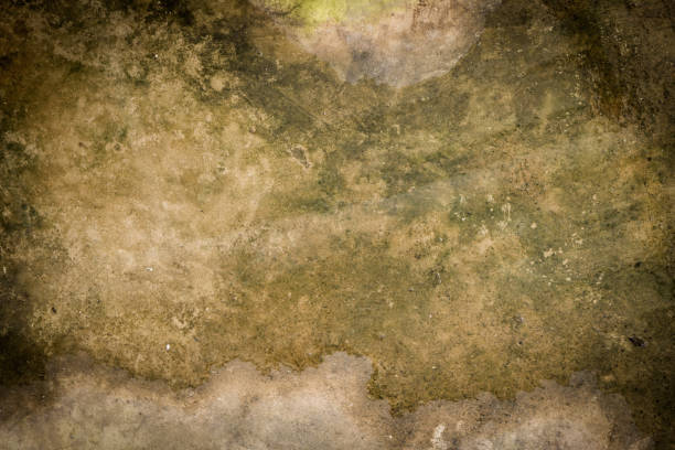 istock dirty wet Floor cover with moss and dirt 868803828