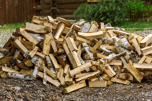 Pile of birch firewood outdoors in summer