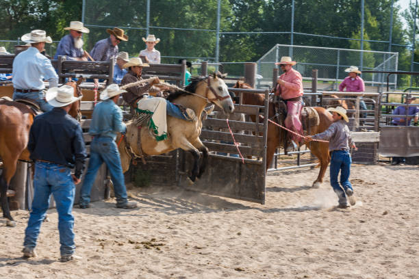 istock Cowboy Riding a Bucking Bronco at a Rodeo 868812340
