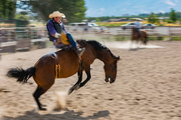 istock Cowboy Riding a Bucking Bronco at a Rodeo 868812356