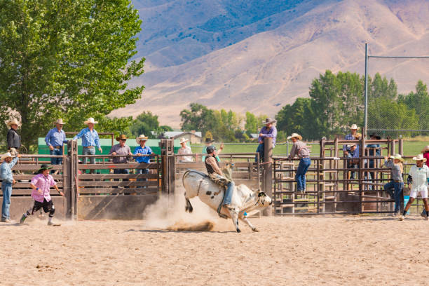 istock Cowboy Riding a Bull at a Rodeo 868812374