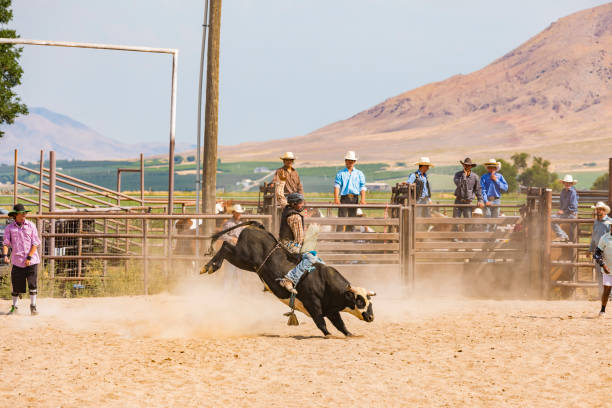 istock Cowboy Riding a Bull at a Rodeo 868812394