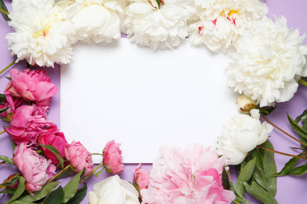 istock Flower frame from flowers by pion. 868819224