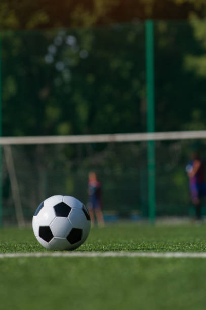 istock Traditional soccer ball on green grass playground. 868832744