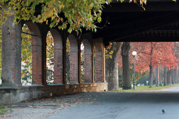 istock autumn leaves in Lucca - Italy 868834058