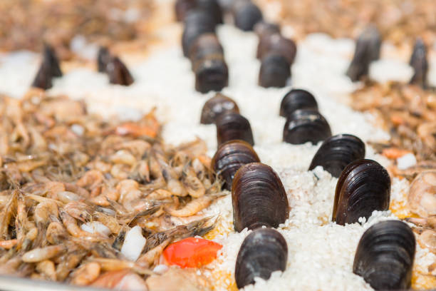Rice and shellfish on the plate