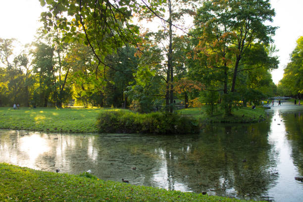 istock Ducks swimming in a pond 868837000