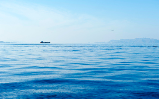 Cargo Container Ship