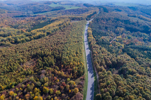 istock road through the autumn forest 868844660