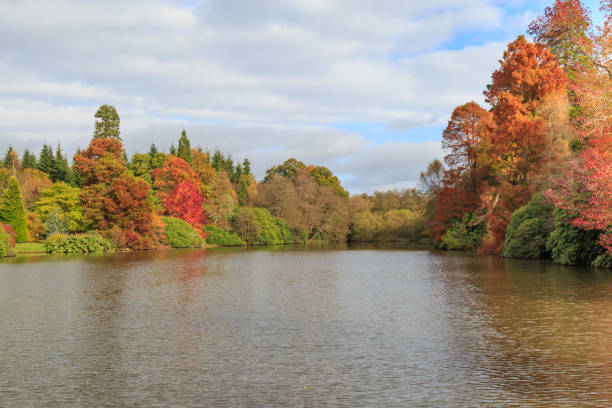 istock Autumnal trees around a lake 868853848