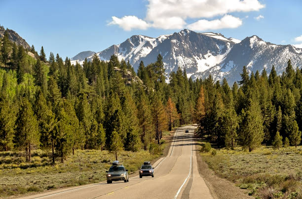 Mammoth Lakes landscape with mountains, lakes and spruce forest - California - USA