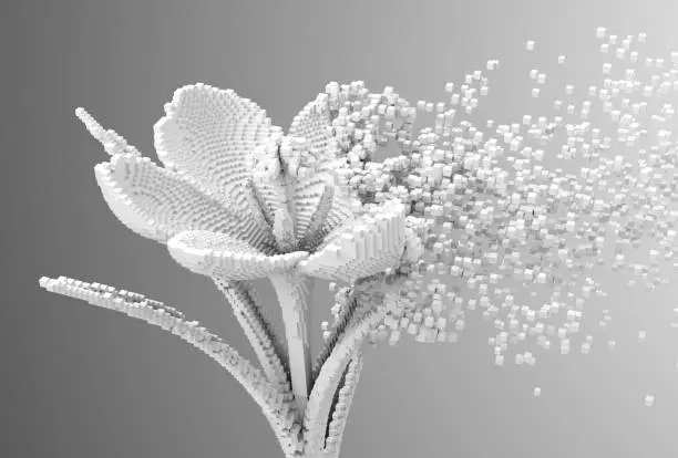 Digital Flower Disintegrates To 3D Pixels. 3D Illustration.