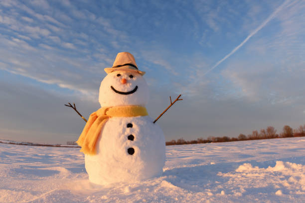 istock Funny snowman in yellow hat 868872712