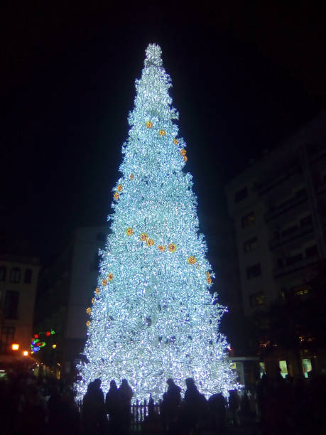 istock Christmas Tree, Salerno, southern Italy. 868876232
