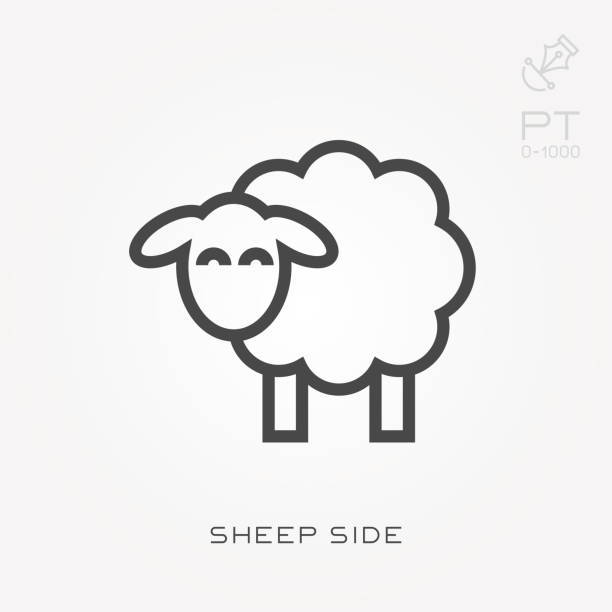 illustrations, cliparts, dessins animés et icônes de côté de moutons ligne icône - sheep