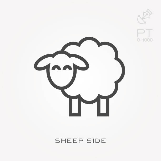 Line icon sheep side Line icon sheep side sheep stock illustrations