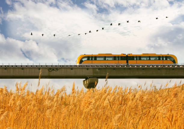 Autumn background. A running yellow subway with the sunset reeds & birds of passage Mgnetic levitation train. Autumn background. A running yellow subway with the sunset reeds & birds of passage Mgnetic levitation train. maglev train stock pictures, royalty-free photos & images
