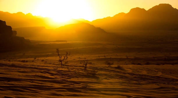 istock Wadi Rum Desert in Jordan 868895914