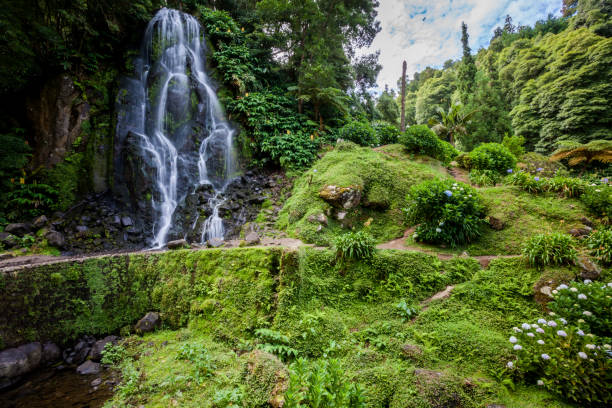 istock Waterfall in the Nature, Azores Islands 868896968