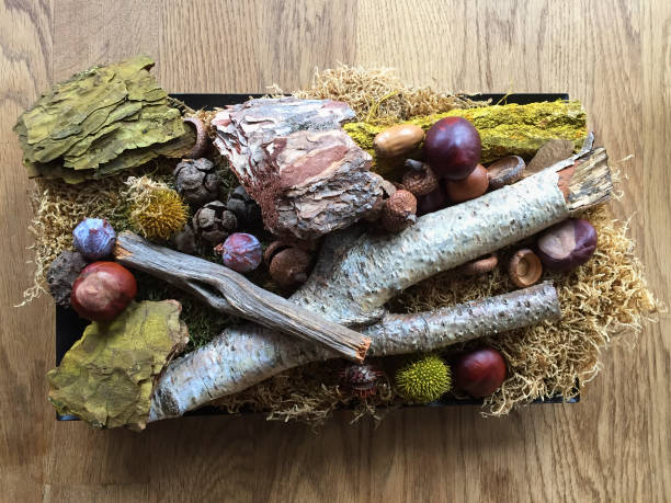 istock Autumn Decoration on wooden table 868911972