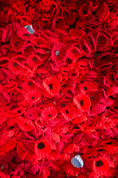 istock Group of Knitted Poppys 868915218