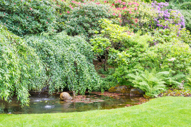 istock Green Trees and Ferns Around Small Pond 868915288