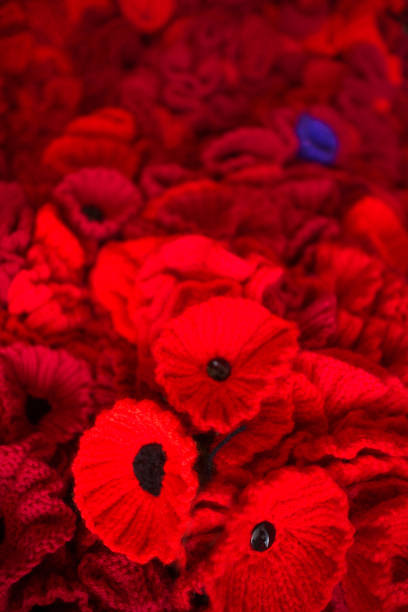 Group of Knitted Poppys