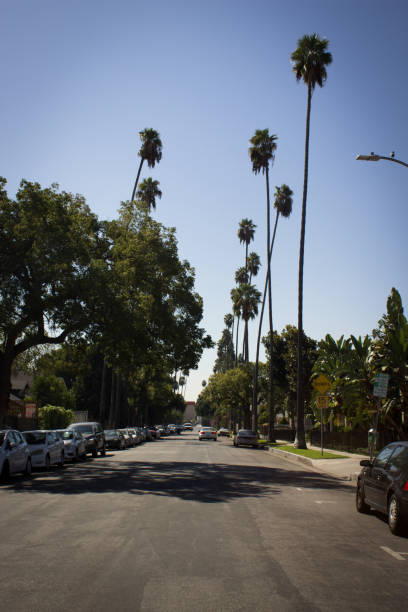 istock Los Angeles street 868918738