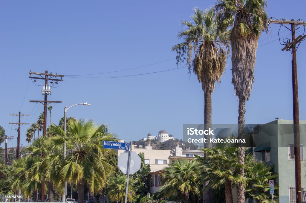 Hollywood Street Street in Hollywood with a view of Griffith Park Observatory Architecture Stock Photo