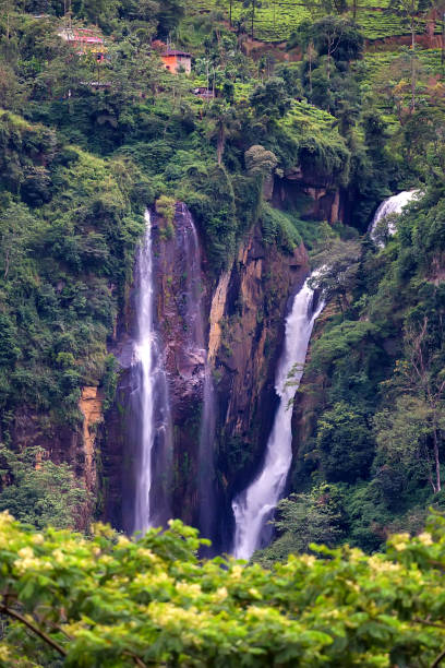 istock Scenic tropical waterfall in jungle 868919688