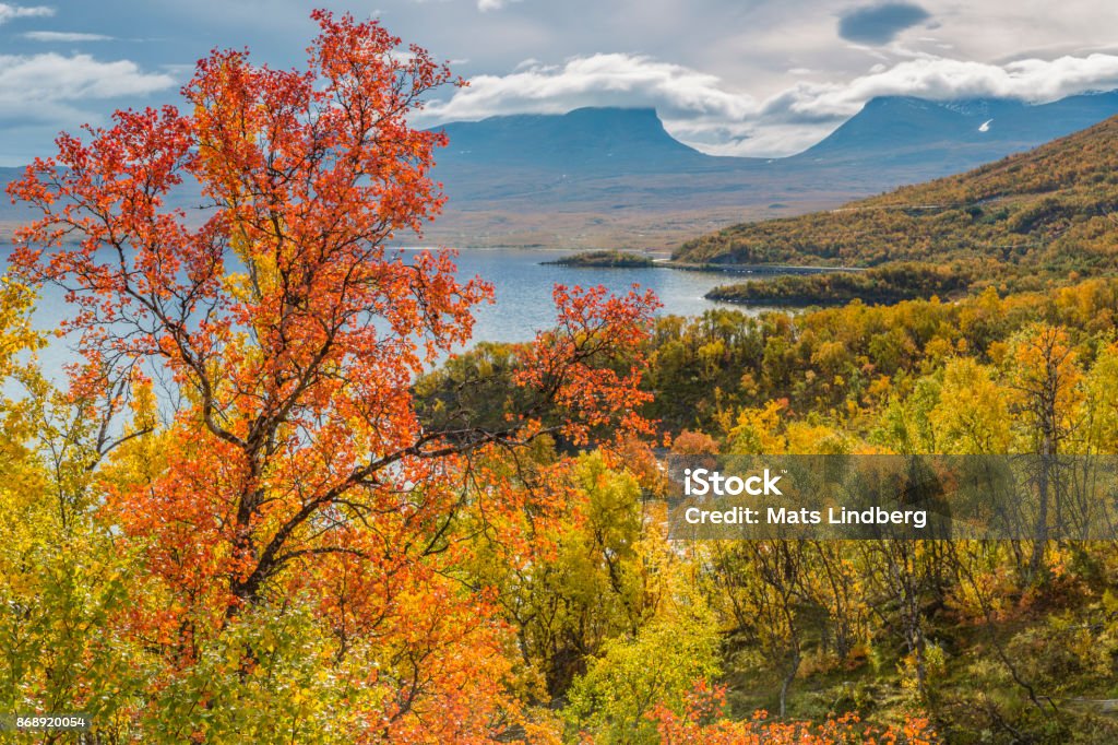 View over Abisko View over Abisko with Lapporten from Björkliden, at autumn season with yellow and red and orange trees and clouds hanging oveer the mountains, Abisko, Kiruna, Swedish Lapland, Sweden Abisko National Park Stock Photo