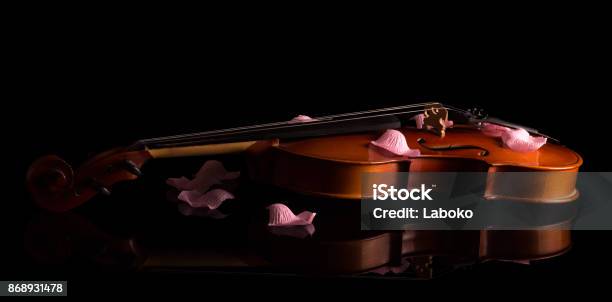 Beautiful Violin With Rose Petals Isolated On A Black Stock Photo - Download Image Now