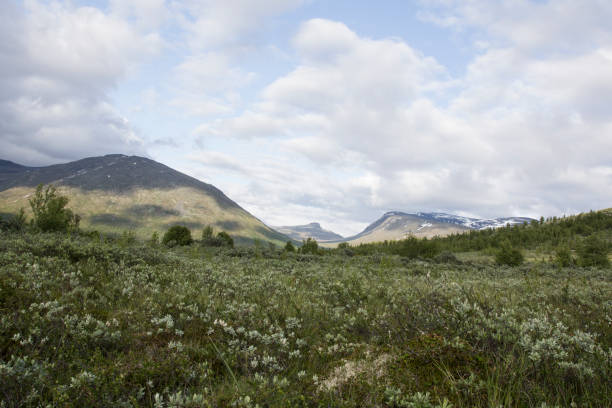 istock View of Norwegian National park 868932328