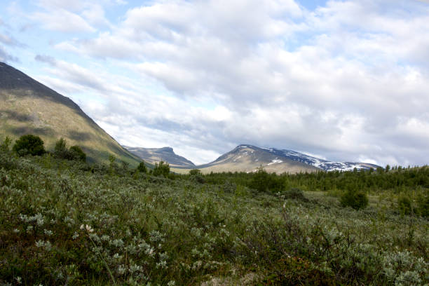 istock View of Norwegian National park 868932384