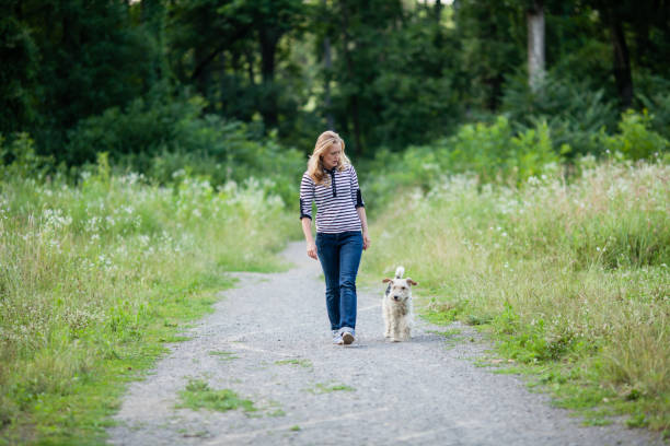 istock Woman walking with a pet 868935720