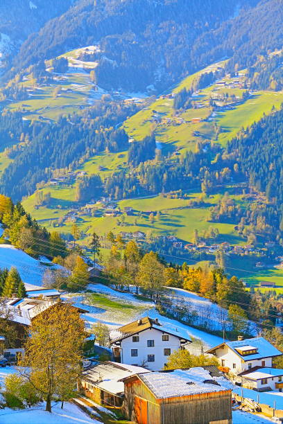 ツェルのアルプスの景観アム ・ ツィラー オーストリア チロルでカーヴェンデル山範囲、ドイツ - ゴールド色秋、劇的なチロル雪を頂いた山パノラマや牧歌的なチロル牧草地、オーストリア - ziller ストックフォトと画像