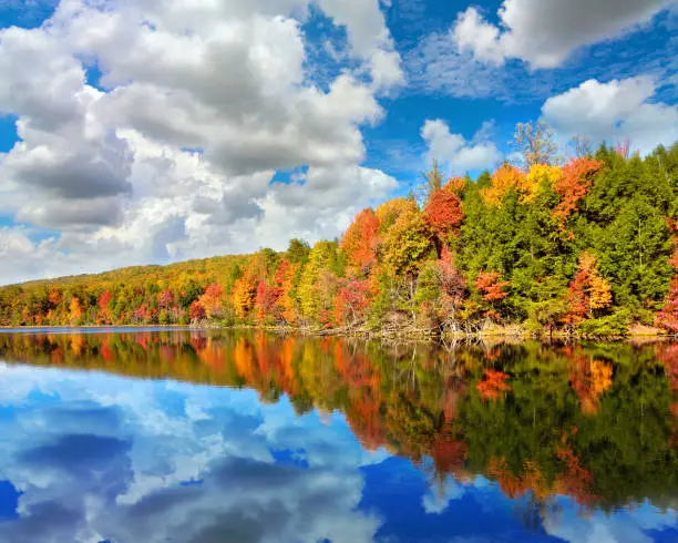 Tranquil natural landscape of Tennessee woodland forests in full autumn color along the edge of a pristine lake with mirror reflections in the water.