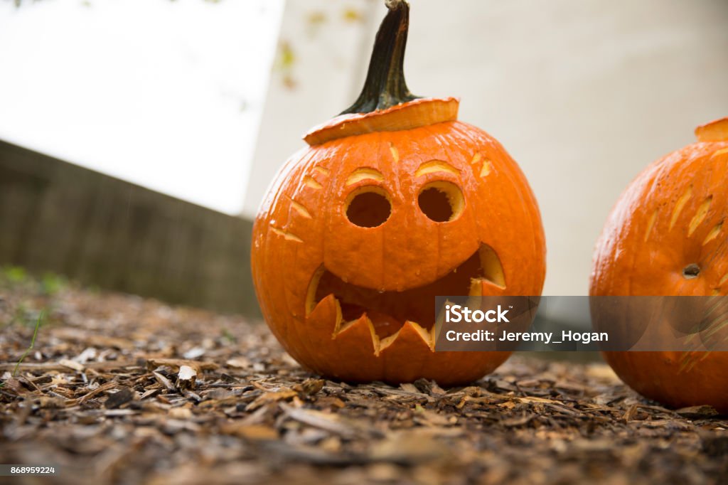 Jack-o-Laternen schneiden in Kürbisse für Halloween - Lizenzfrei Riesenkürbis Stock-Foto
