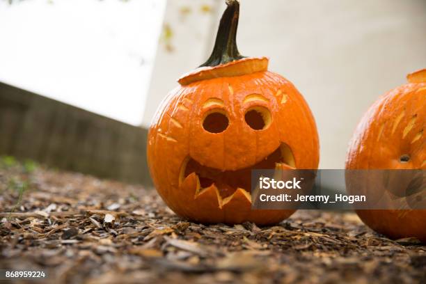 Jackolaternen Schneiden In Kürbisse Für Halloween Stockfoto und mehr Bilder von Riesenkürbis