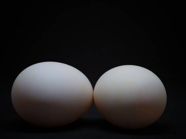istock Closeup Duck eggs , healthy food. 868959284