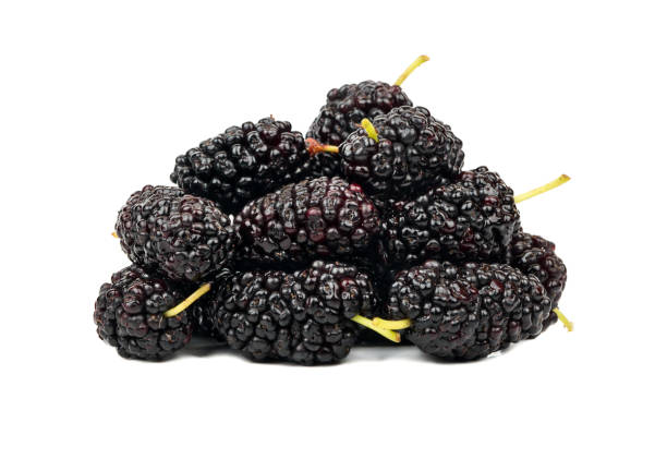 istock Bunch of black mulberry 868963510
