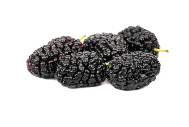 istock Bunch of black mulberry 868963550
