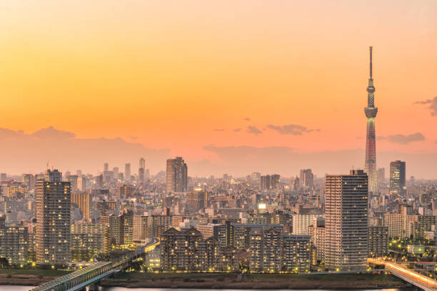istock Tokyo city skyline at sunset 868970658