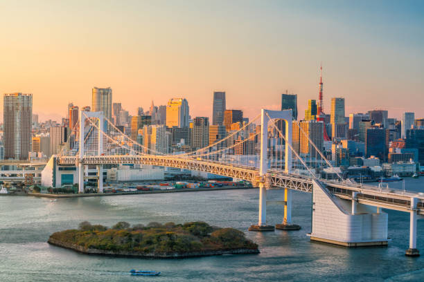 istock Tokyo skyline with Tokyo tower and rainbow bridge 868970760