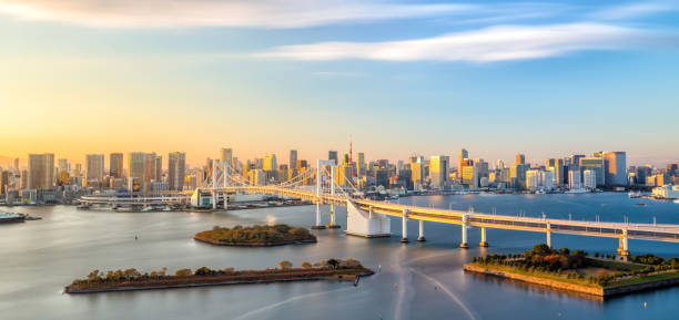 istock Tokyo skyline with Tokyo tower and rainbow bridge 868970778