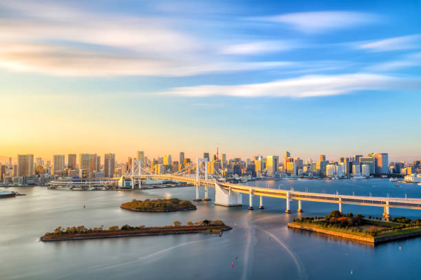 istock Tokyo skyline with Tokyo tower and rainbow bridge 868970788