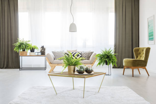istock Monochromatic living room with ferns 868982850