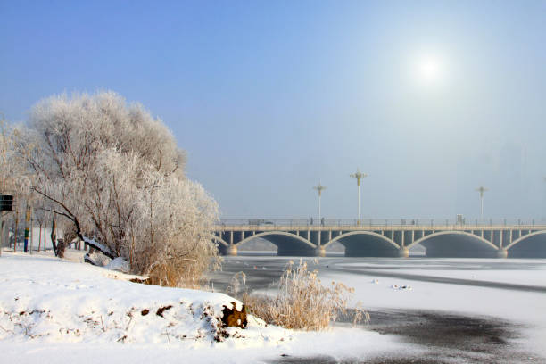 bridge and trees in the snow, cityscape