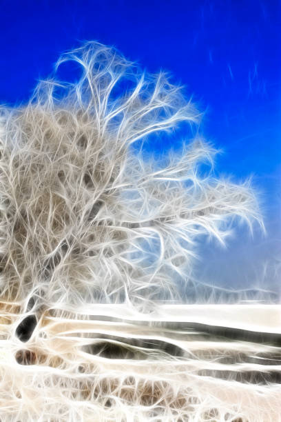 istock computer generated design, the trees in the nature, closeup of photo 868983104
